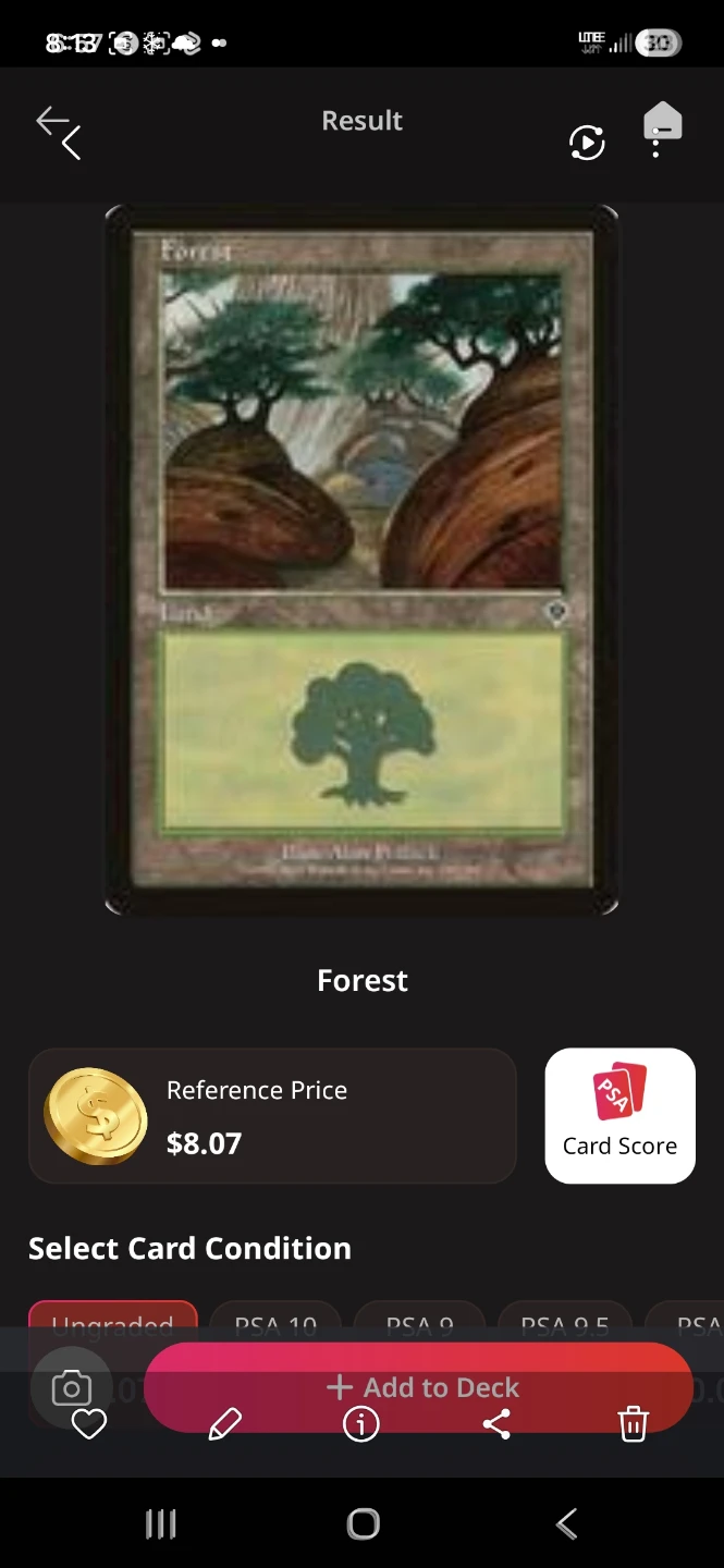 Forest Magic The Gathering Card