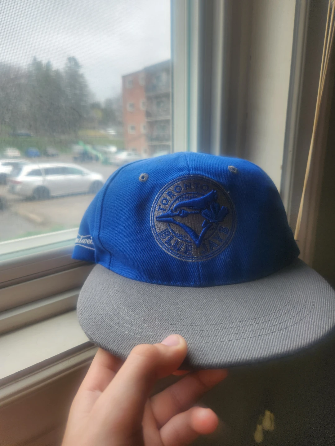 Toronto Blue Jays Hat
