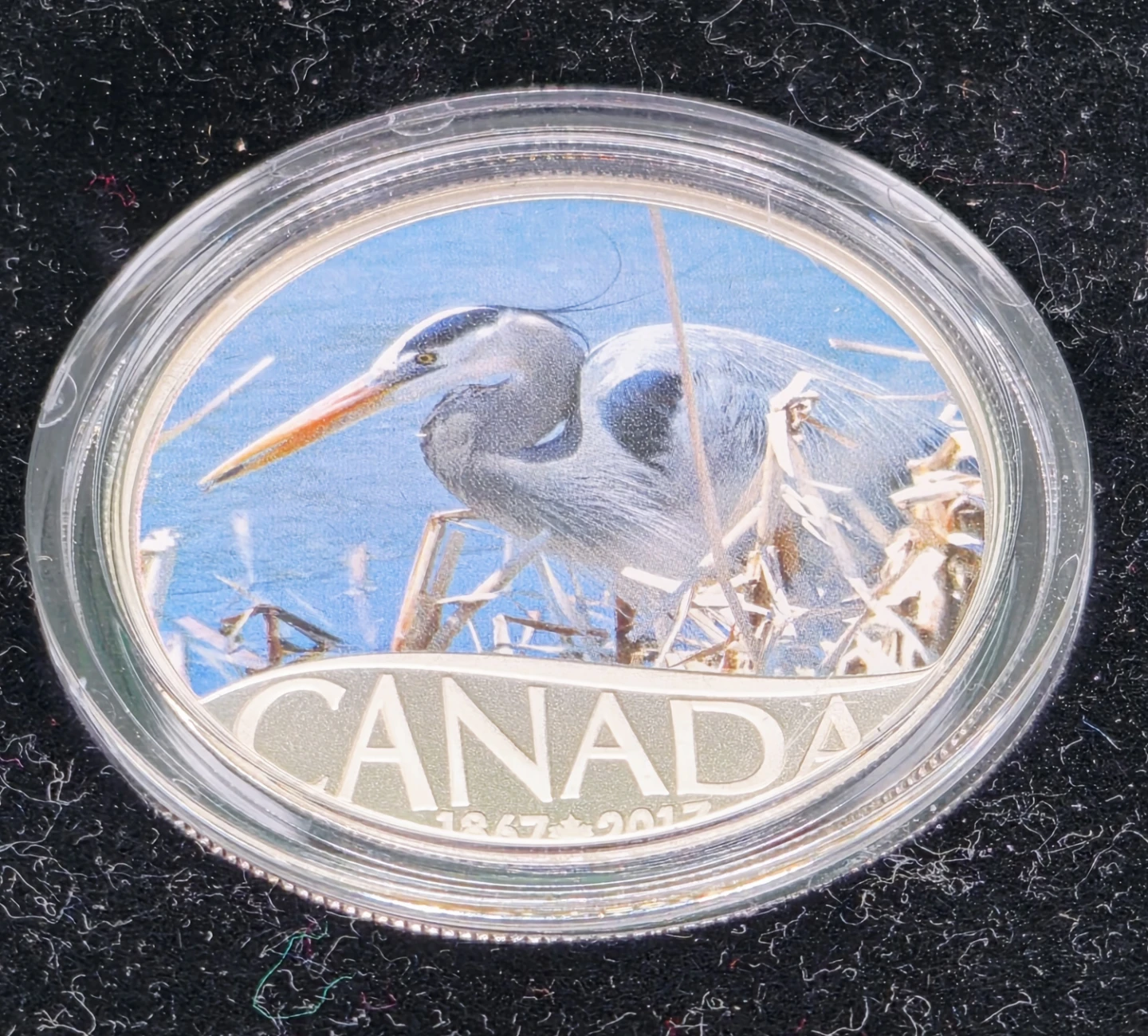 🥰 2017 Royal Canadian Mint $10 Fine Silver Coin - photo 2