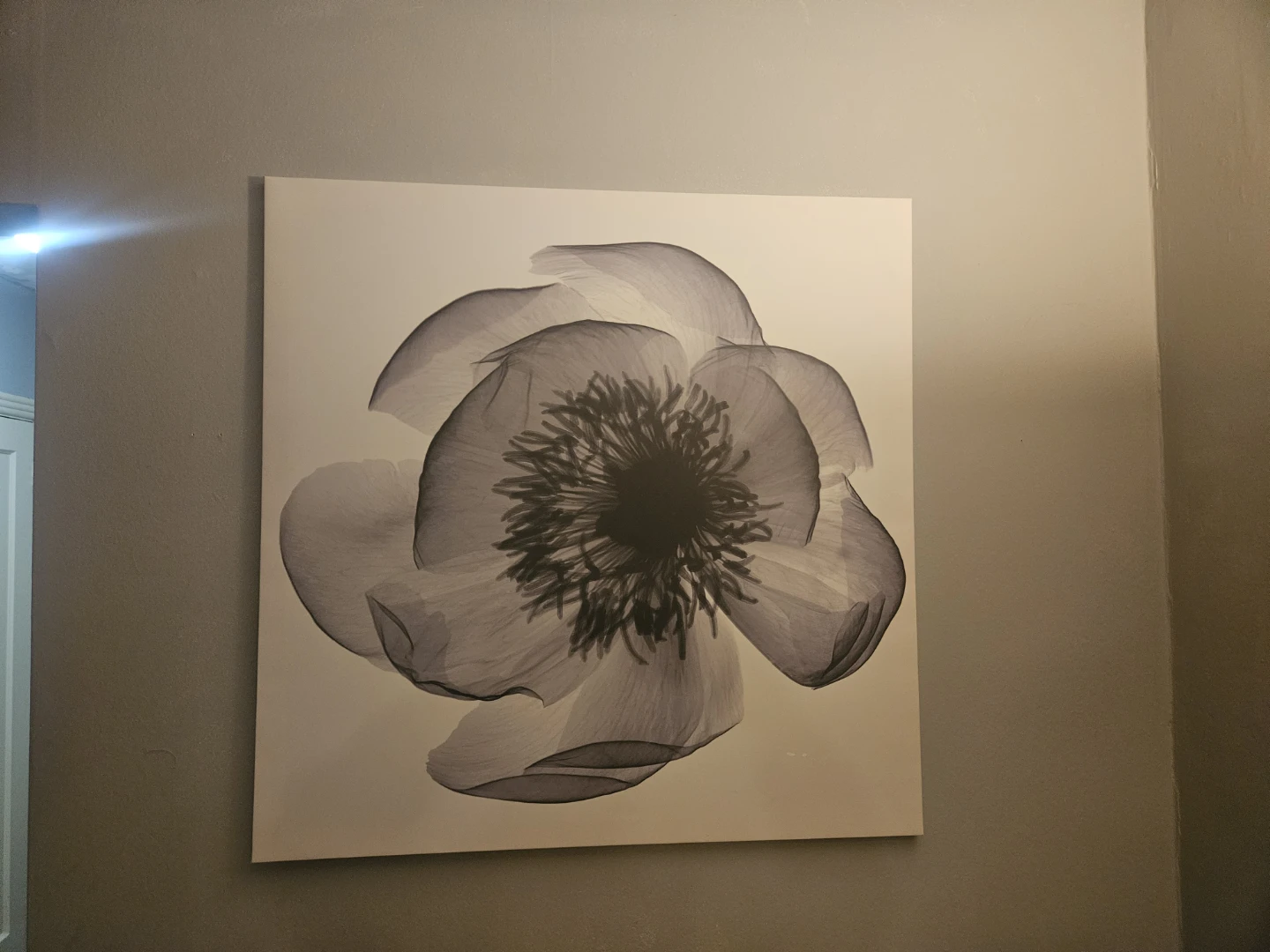 KLOXHULT - IKEA Canvas Print