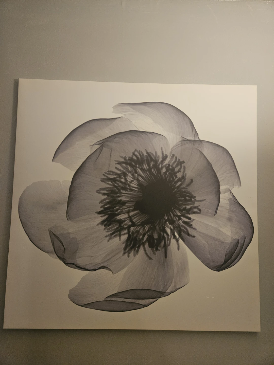 KLOXHULT - IKEA Canvas Print - photo 2