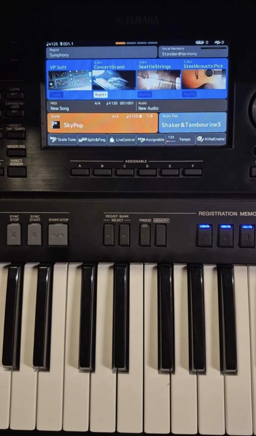 Yamaha SX900