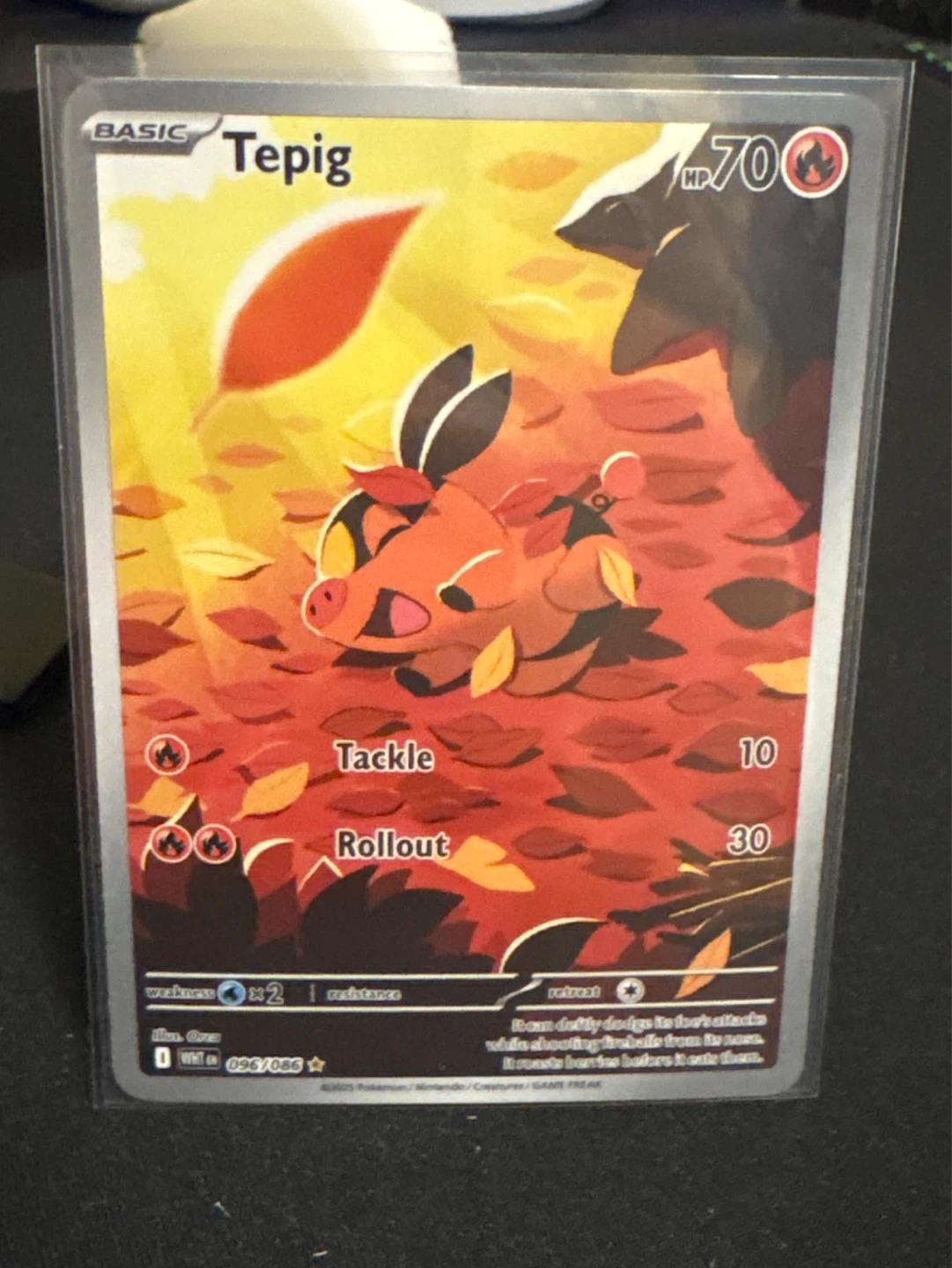 Tepig IR