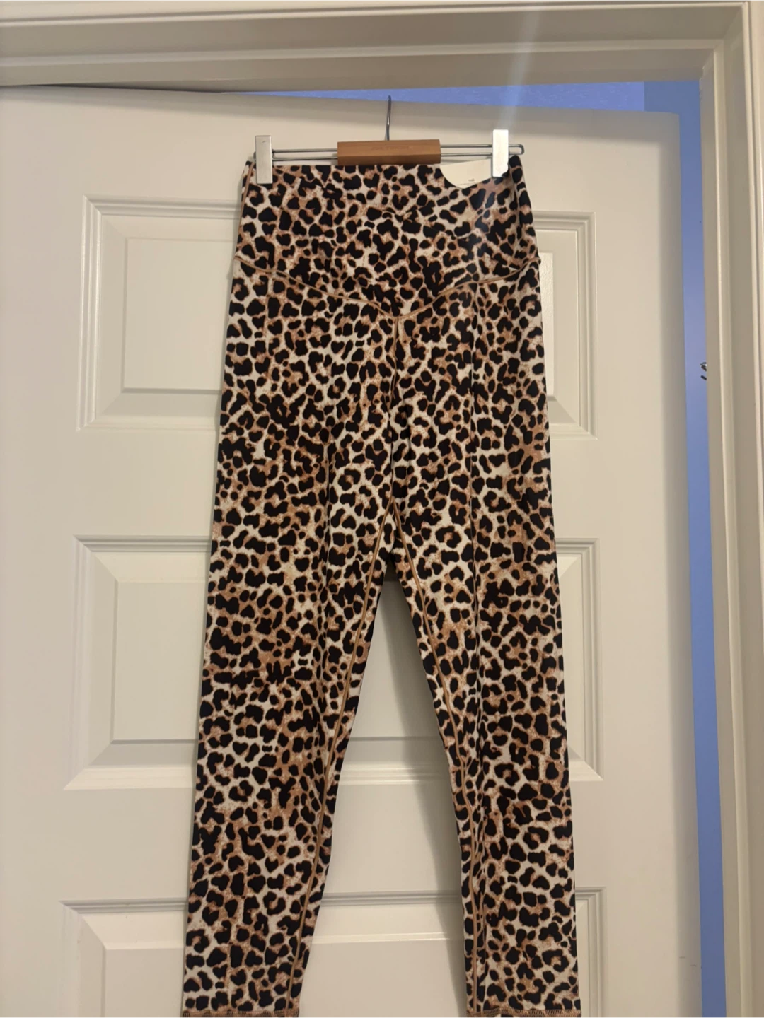 OFFLINE by Aerie Leopard Print Hi-Rise Leggings Size L - photo 5