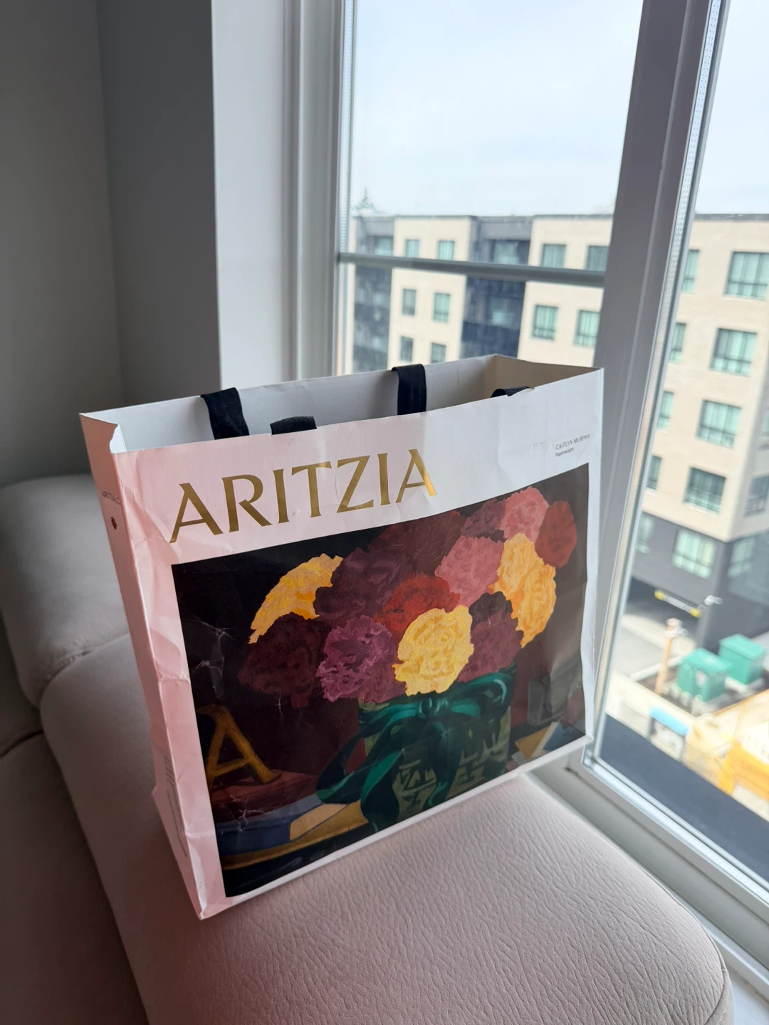 Bag of Aritzia clothes