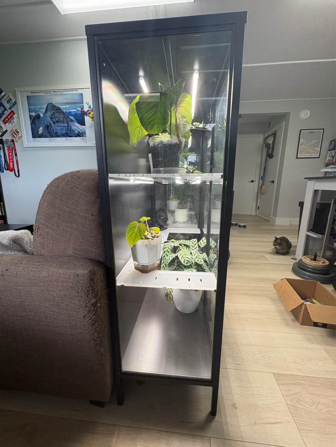IKEA cabinet - photo 2