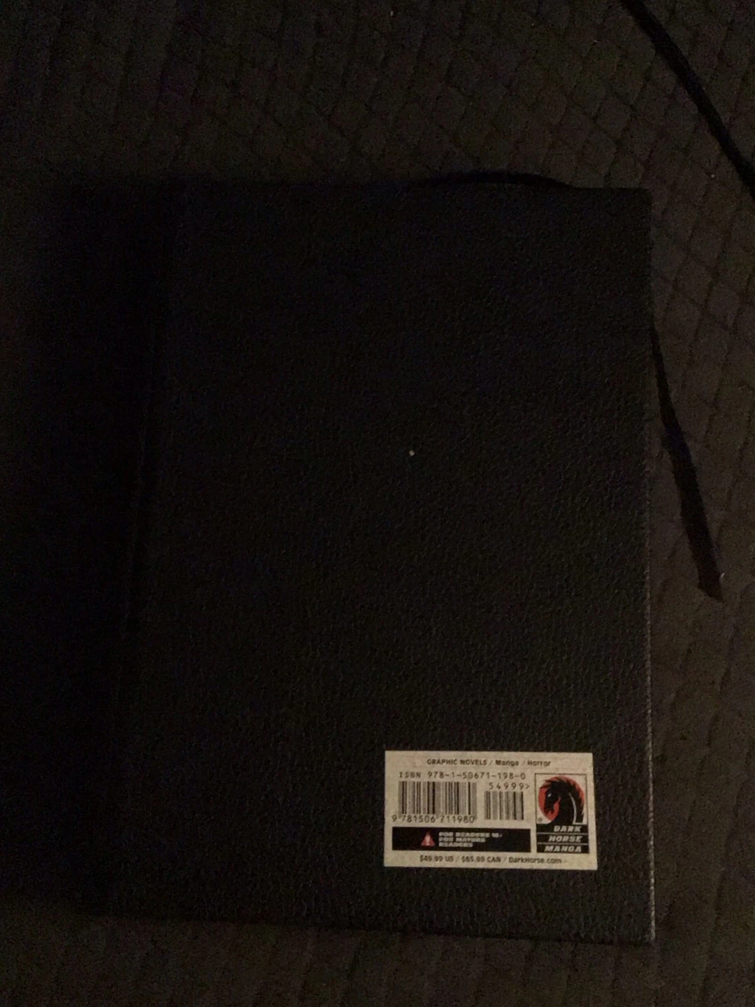 Berserk Deluxe Edition Volume 1 - photo 2