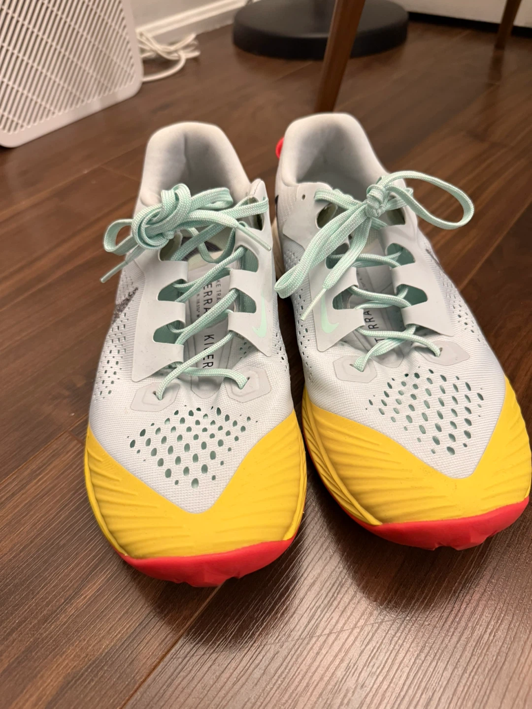 Nike Terra Kiger running shoes