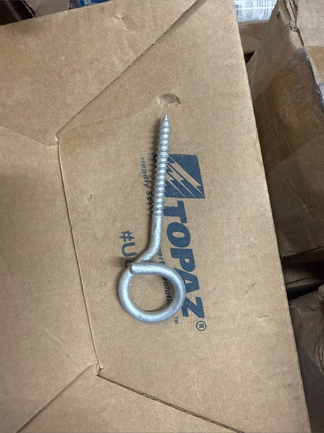 Pigtail Hook Screw - photo 4