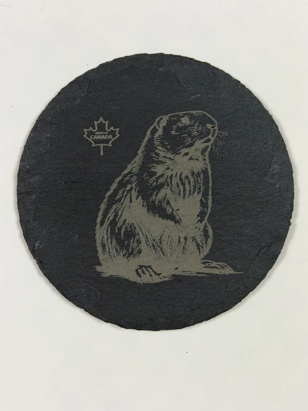 Set of 4 Round Slate Coasters with Canadian Wildlife designs - photo 5