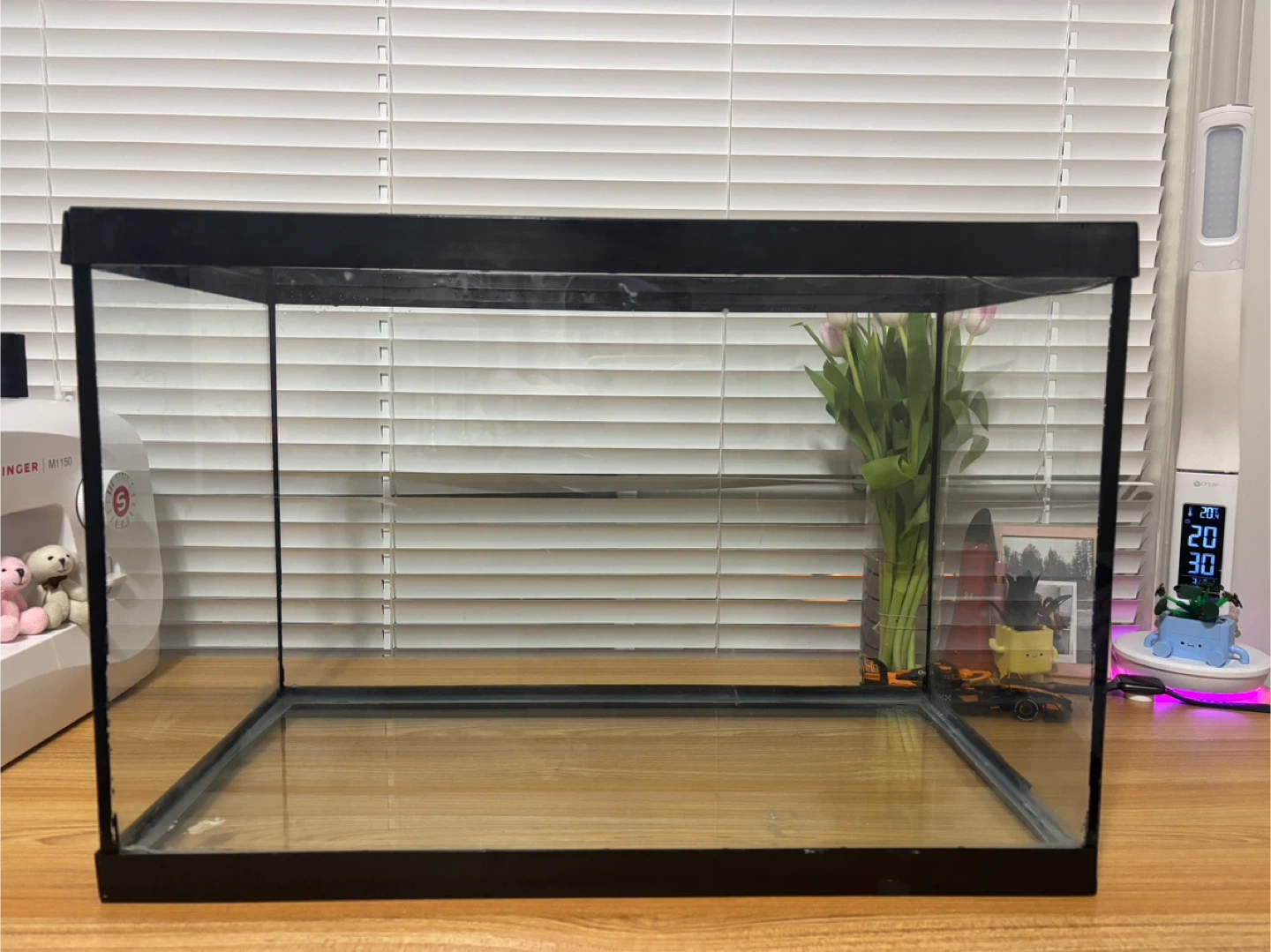 Glass Aquarium Tank with Accessories