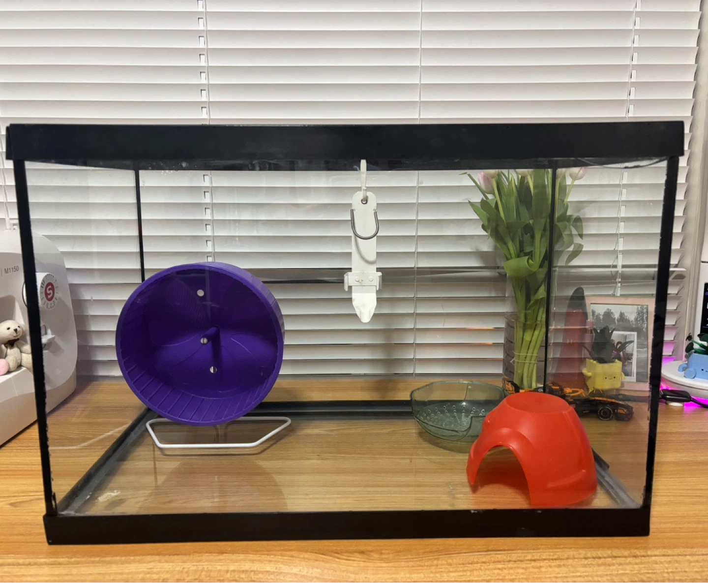 Glass Aquarium Tank with Accessories - photo 2