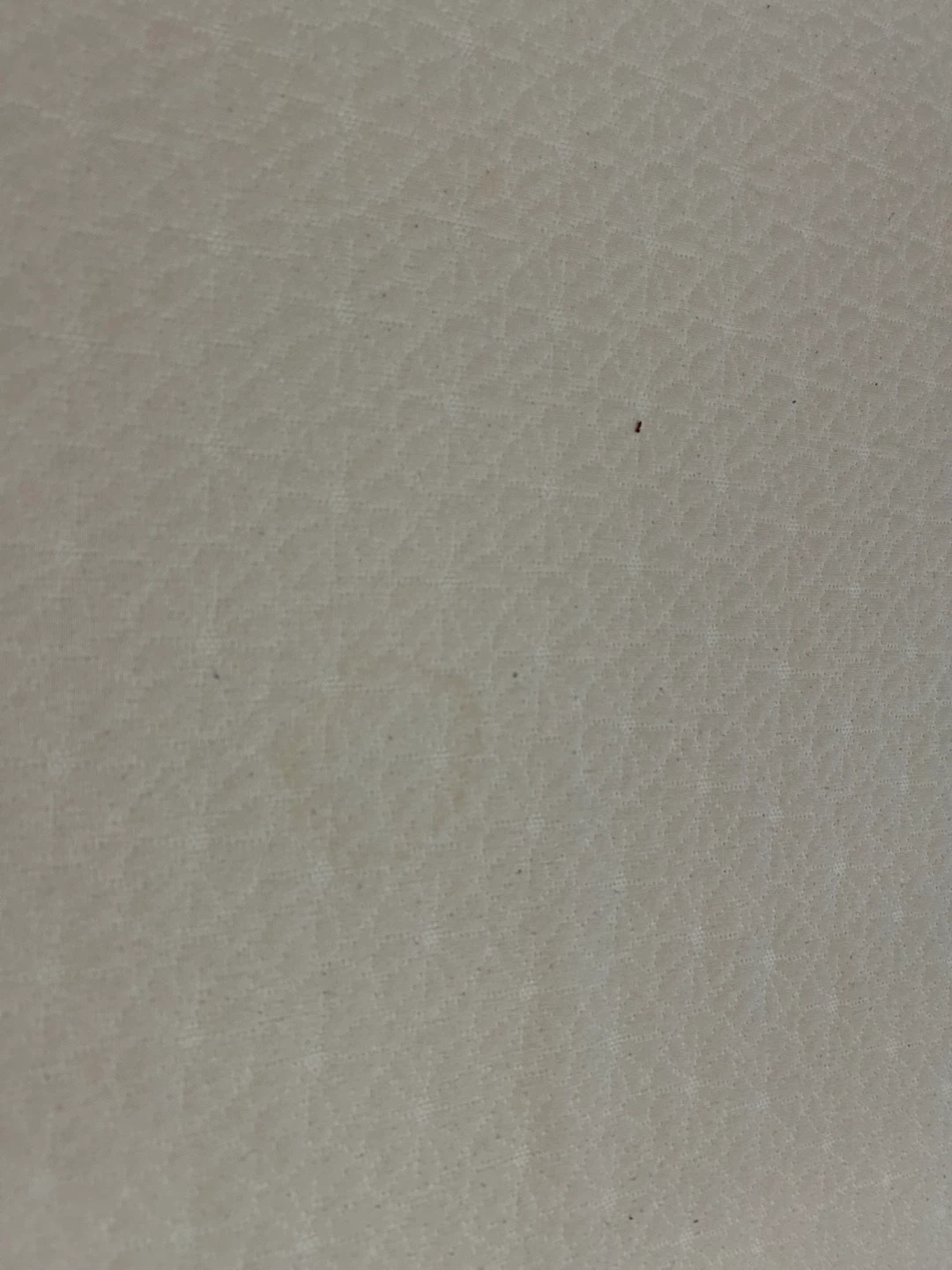 FREE King Size Mattress - photo 4