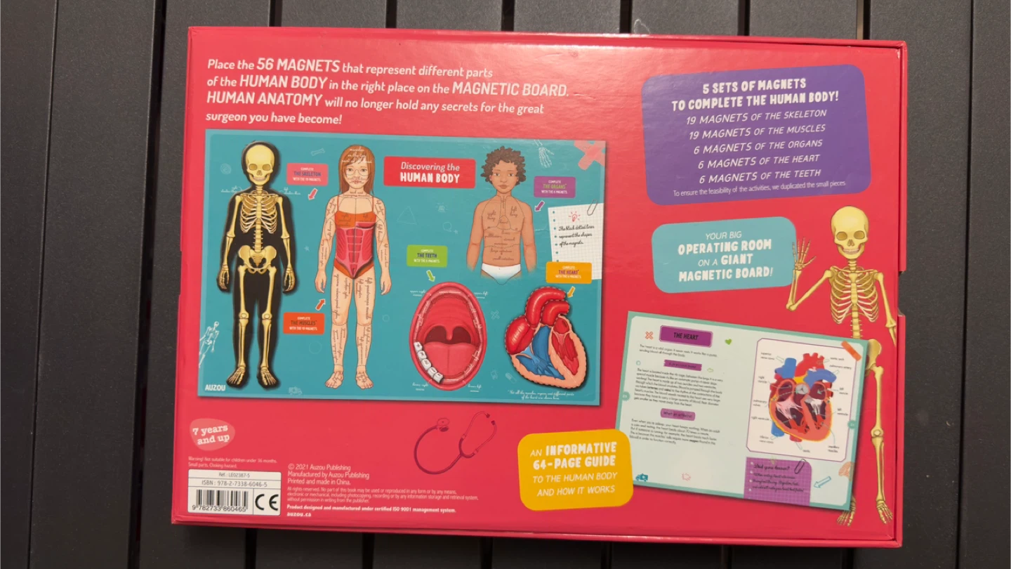 Discovering The Human Body Magnetic Set - photo 2