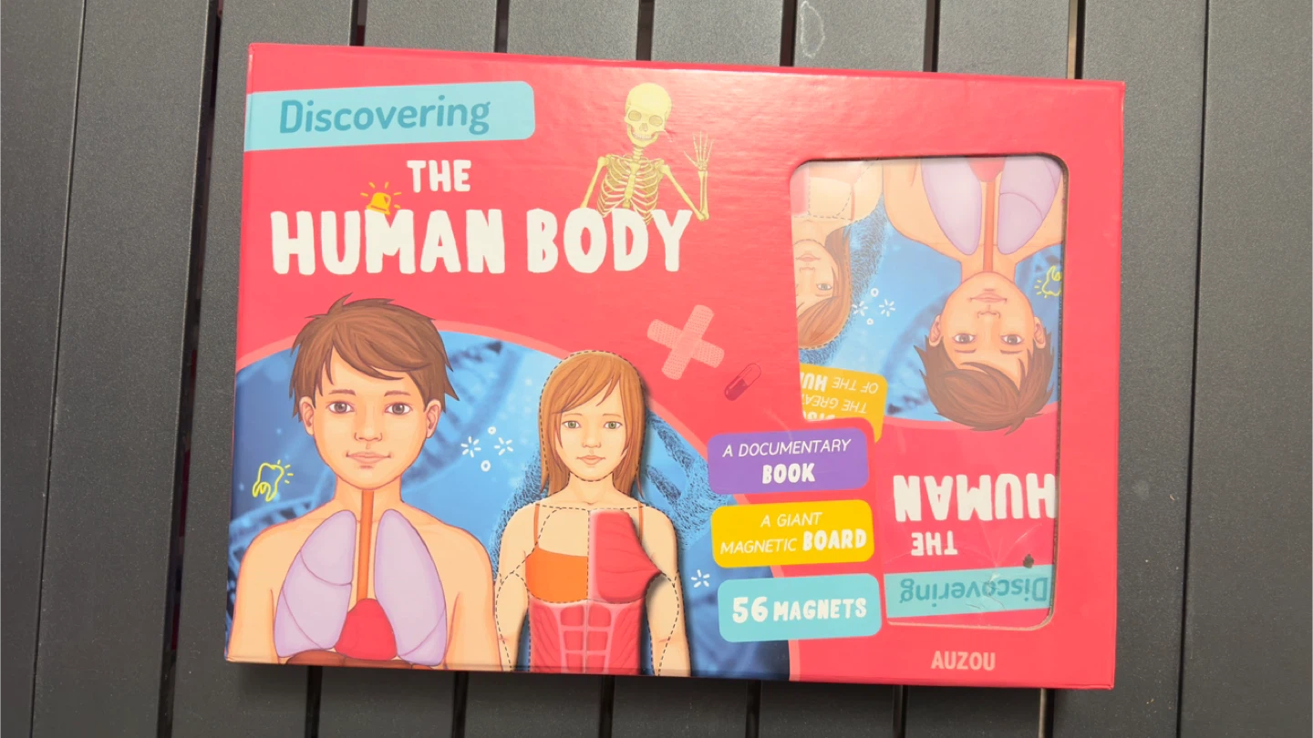 Discovering The Human Body Magnetic Set - photo 3