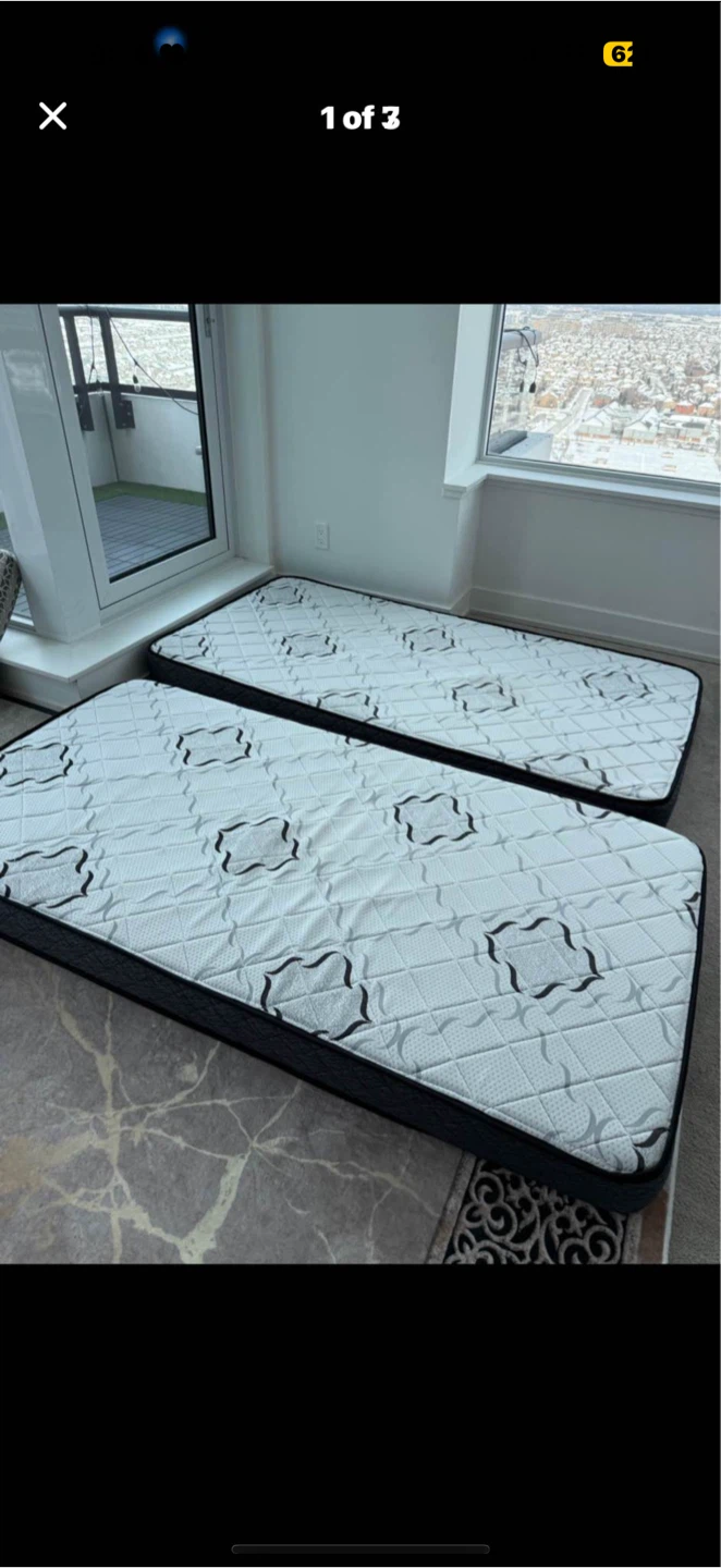 Two Twin Mattresses