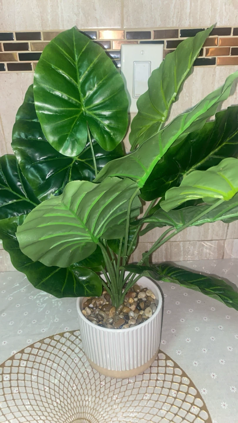 Artificial Green Plant in White Pot