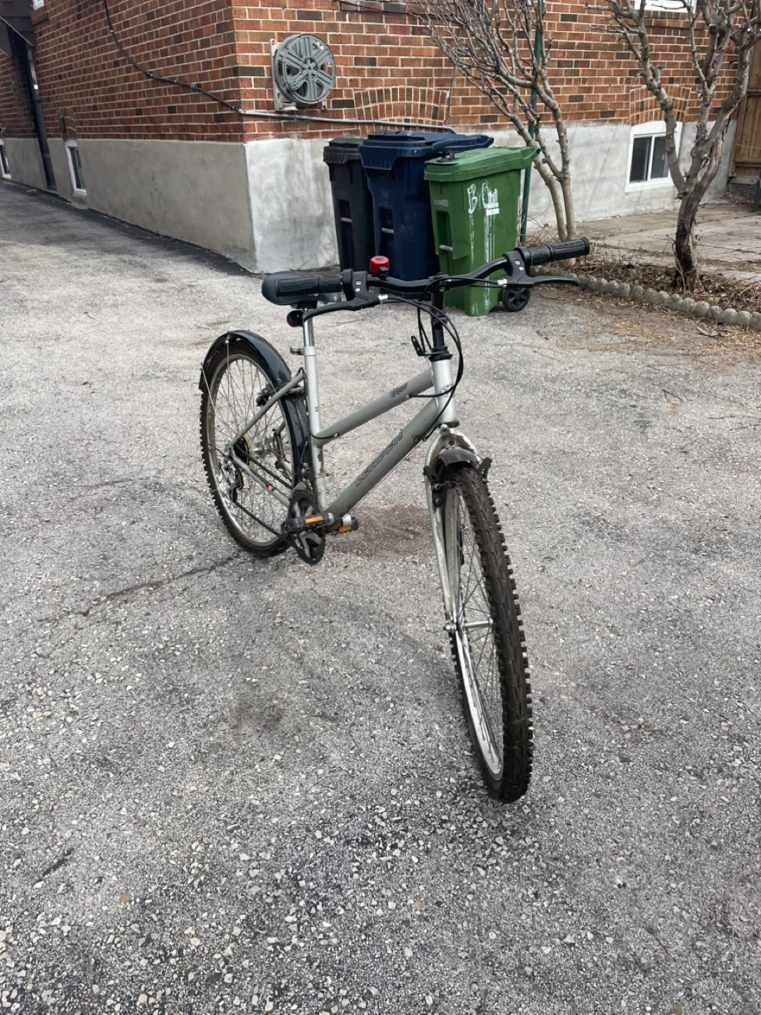 Schwinn Mountain Bike - photo 2