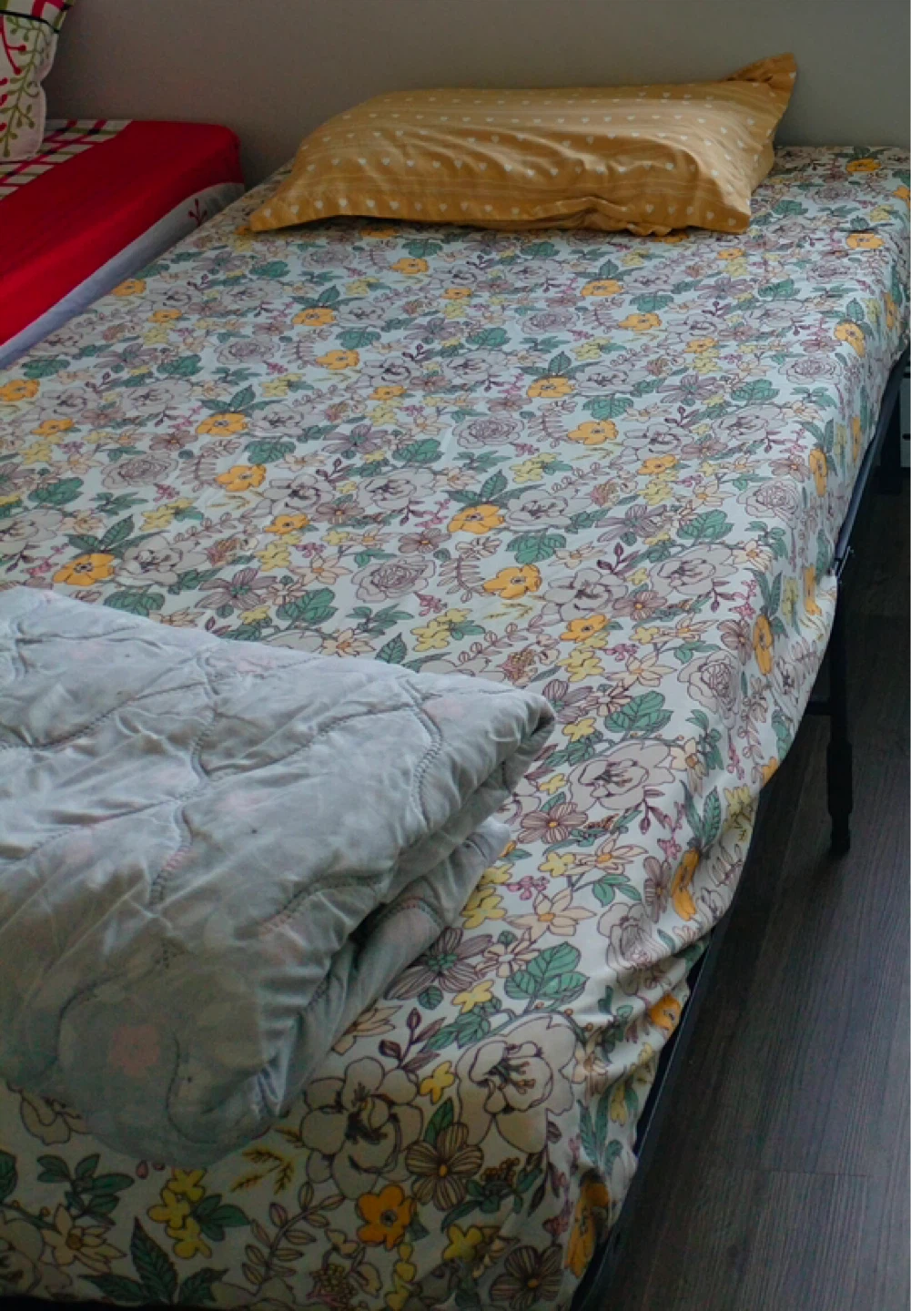 Bed frame and mattress