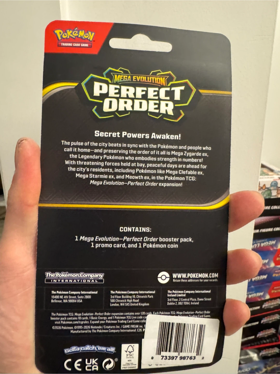 Pokemon perfect order checklane blister makuhita - photo 2