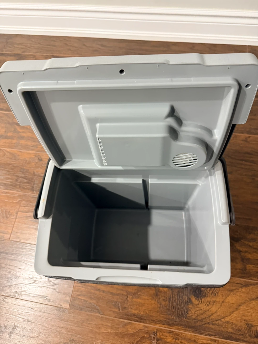 Coleman Electric Cooler