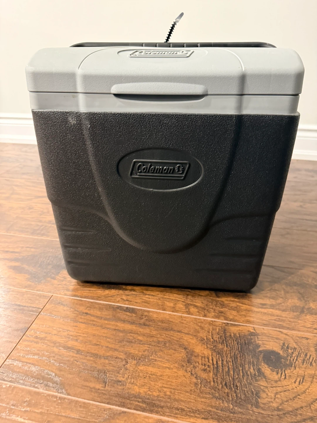 Coleman Electric Cooler - photo 3