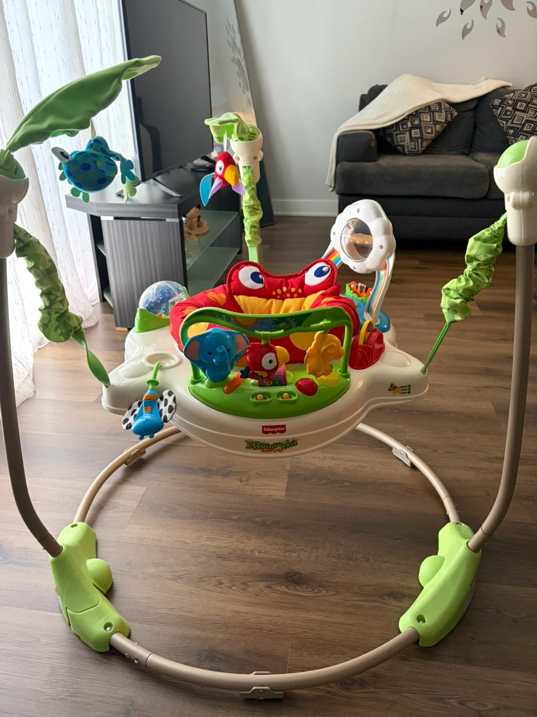 Fisher-Price Rainforest Jumperoo