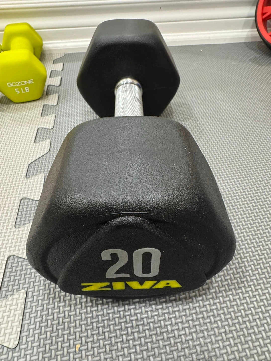 Multiple Dumbbells - Various Weights - GoZone and Ziva - photo 2
