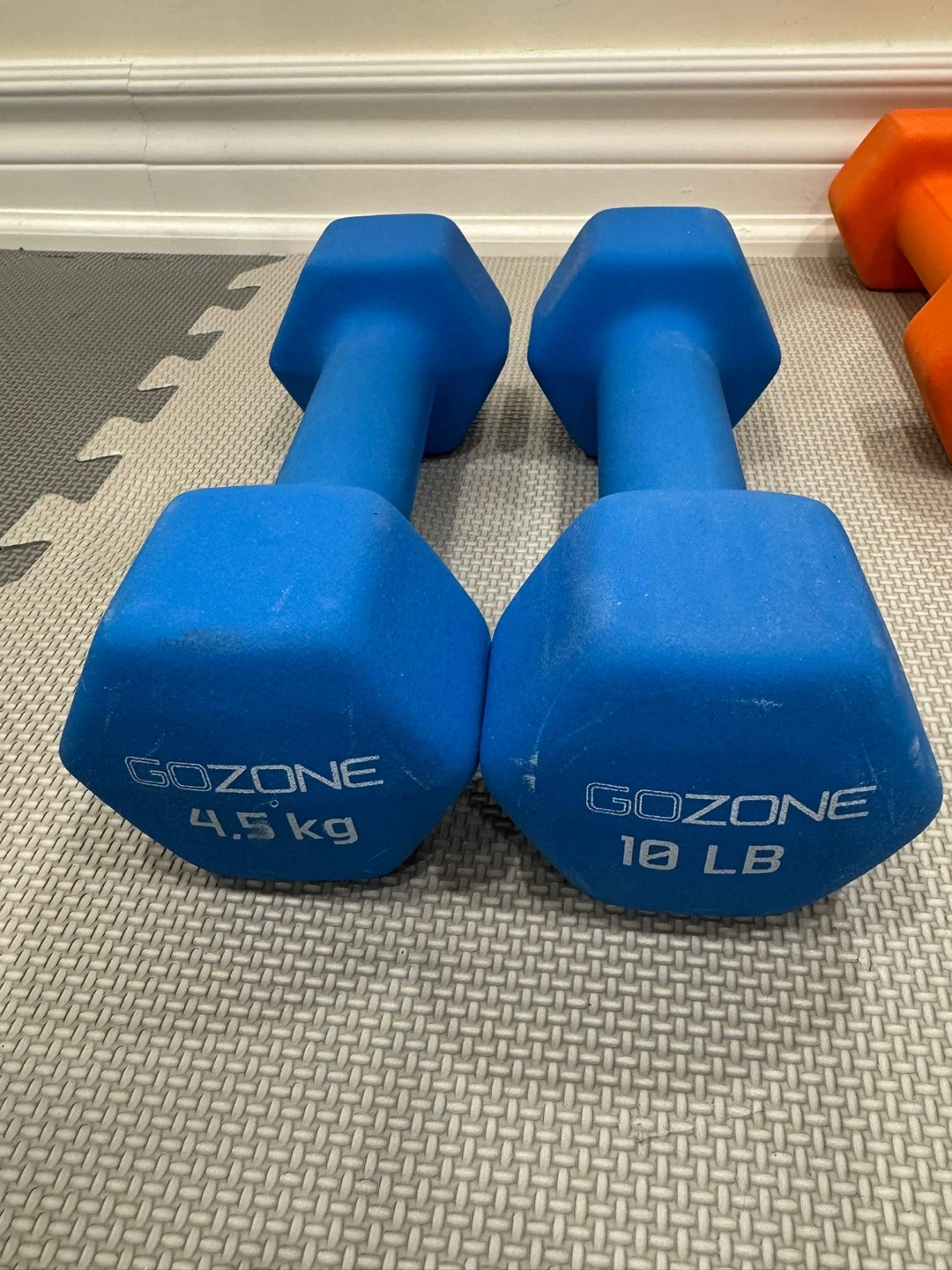 Multiple Dumbbells - Various Weights - GoZone and Ziva - photo 4