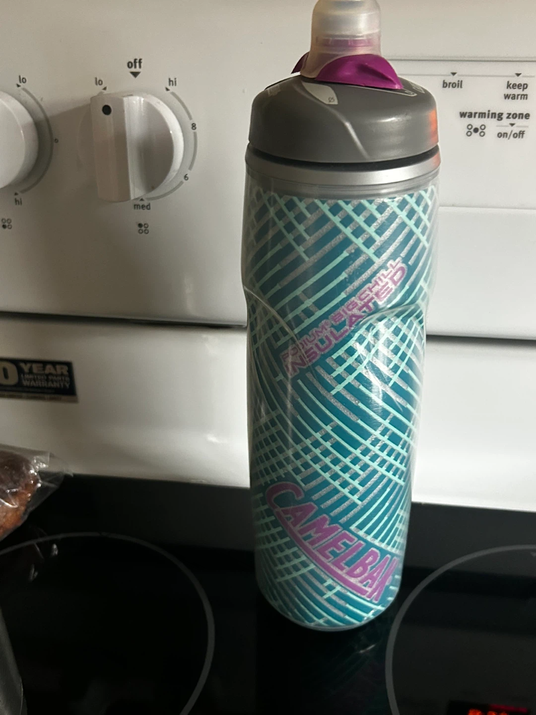 CamelBak Insulated Water Bottle