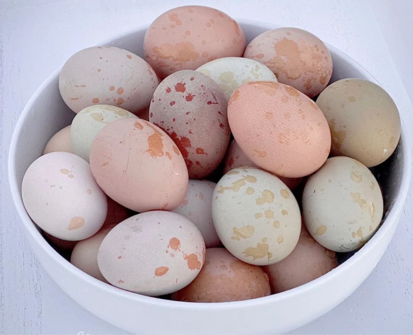 Fresh eggs $7