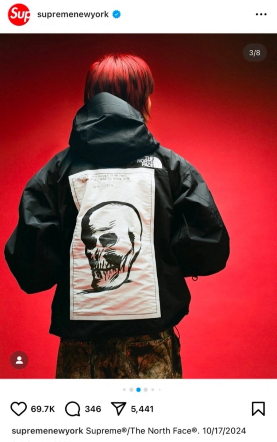 Supreme x The North Face Mountain Jacket