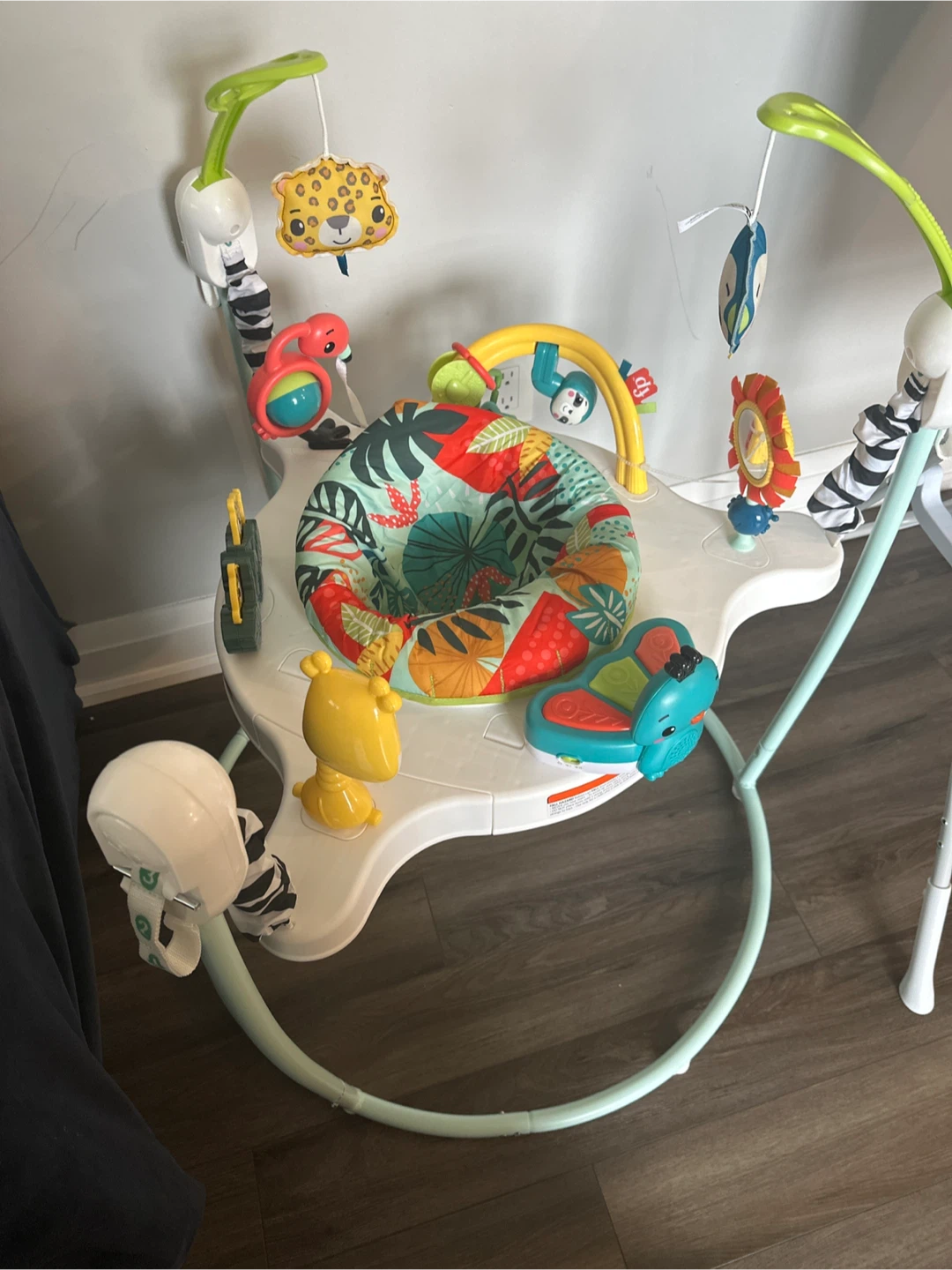 Fisher-Price Jumperoo