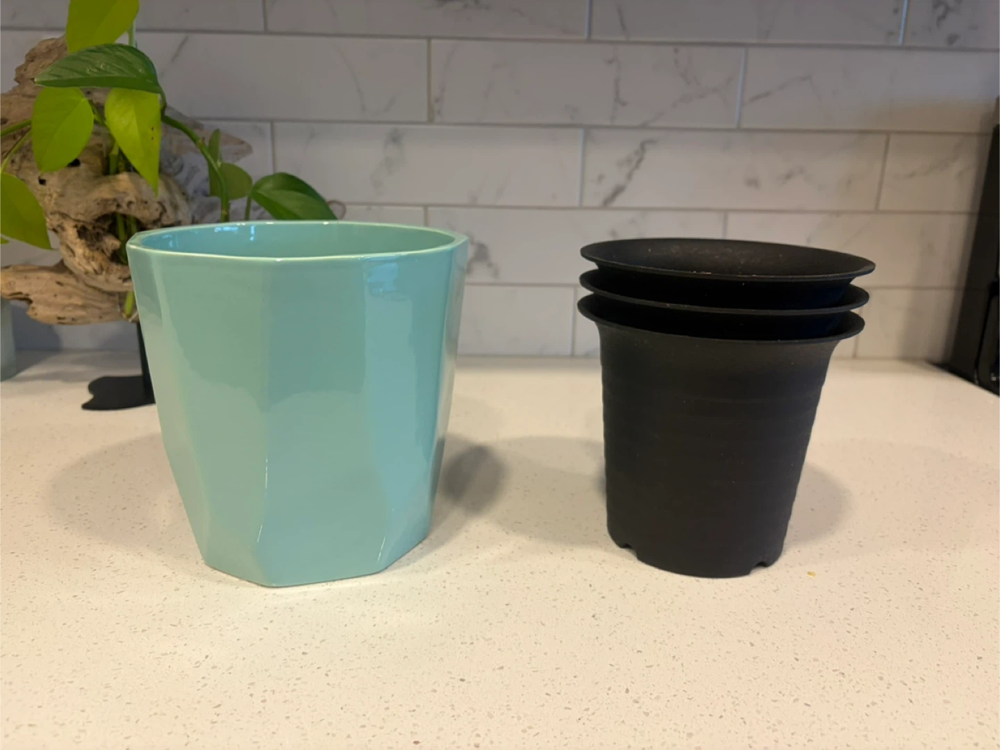 FREE! Teal Geometric Planter with 3 Black Nursery Pots