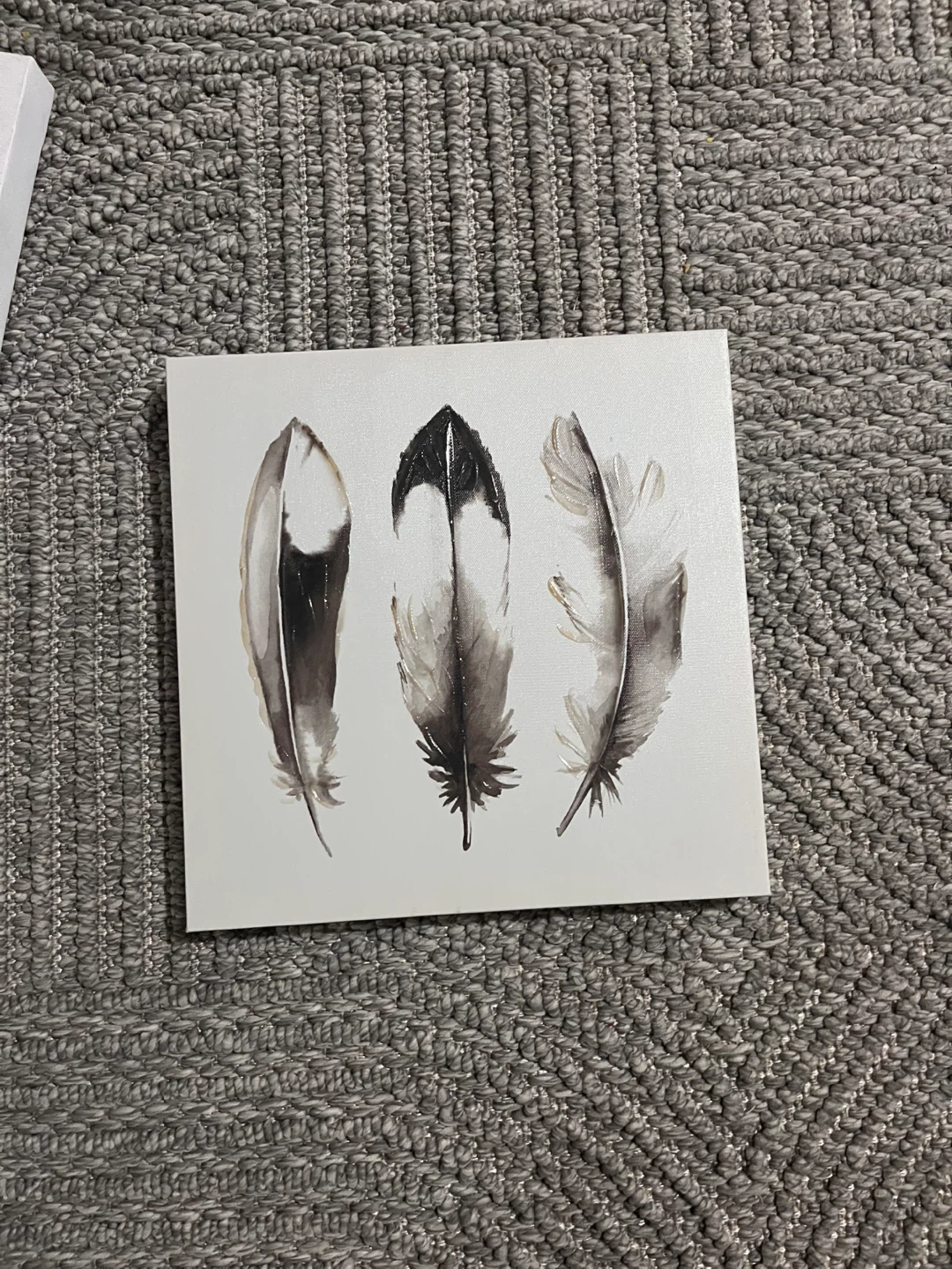 Feather Canvas Art