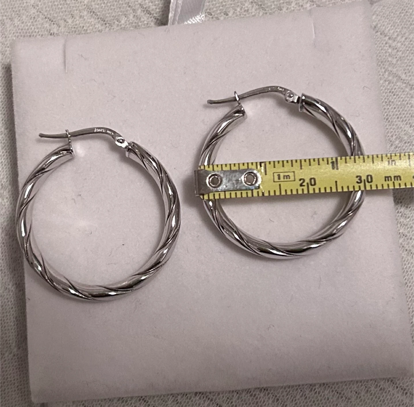Twisted Hoop Earrings