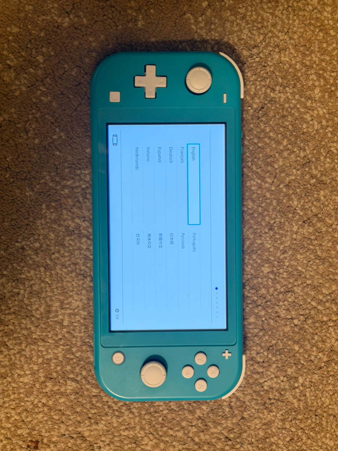 Nintendo Switch Lite