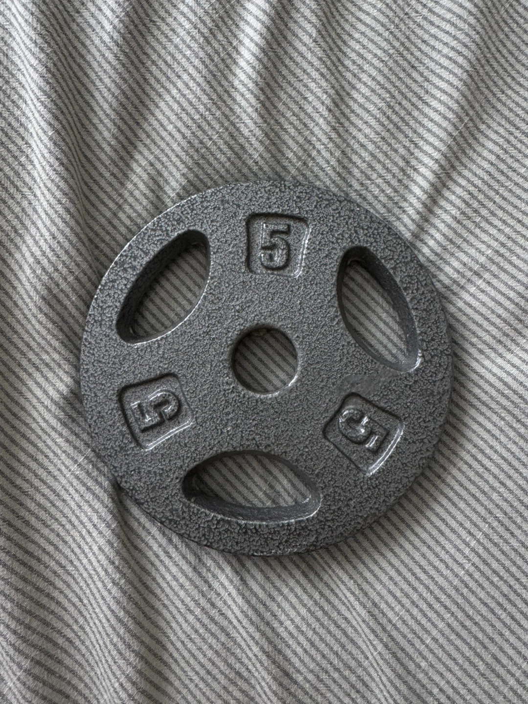 BRAND NEW 5lb Weight Plate