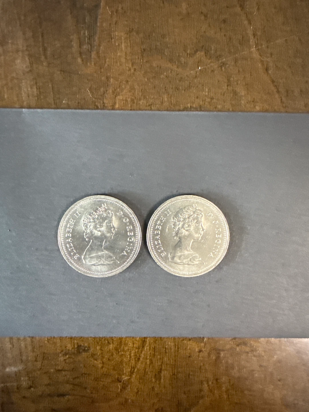 Two 1980 Canadian Dollar Coins - photo 2