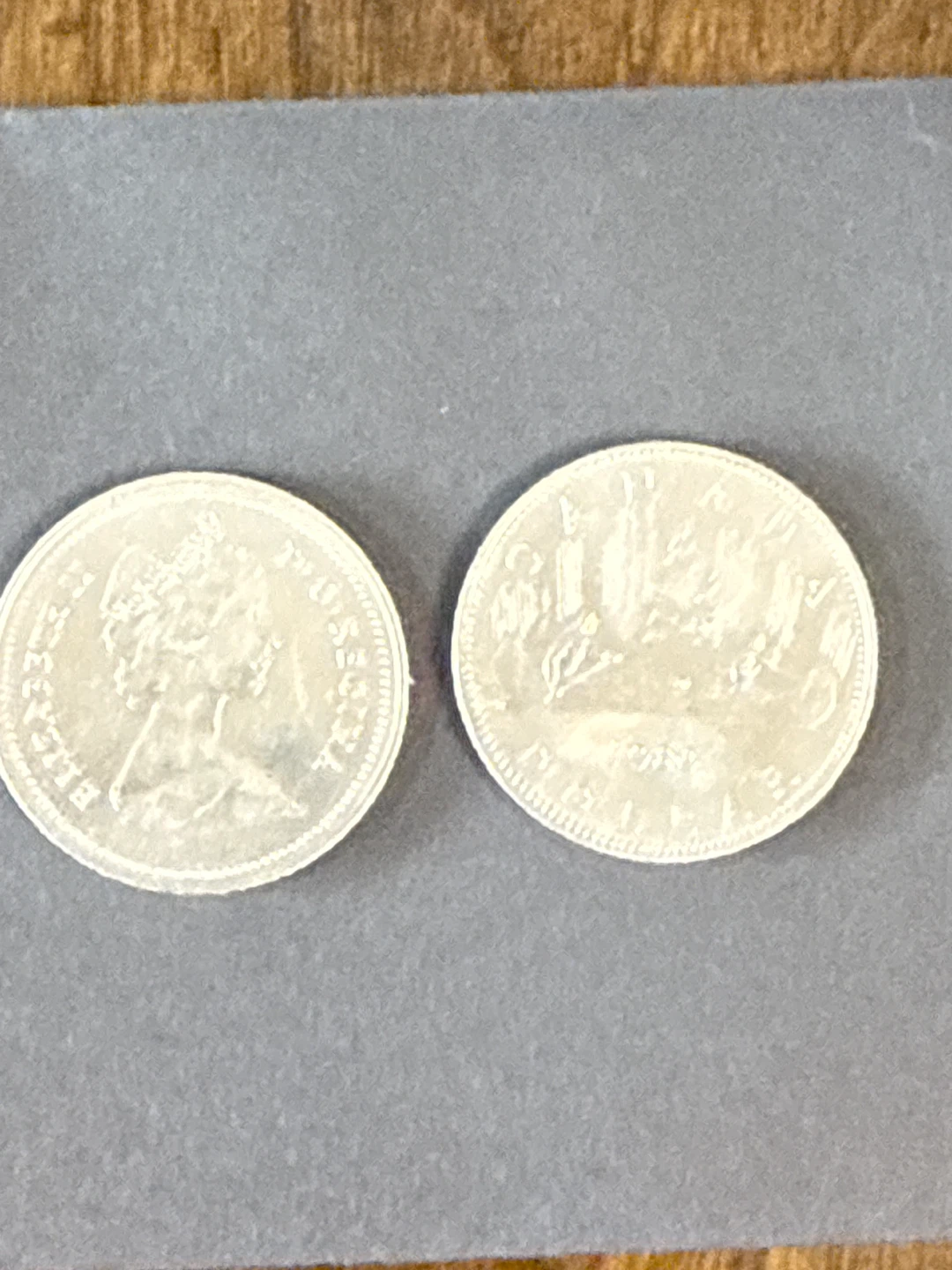 1980 Canada Dollar Coin