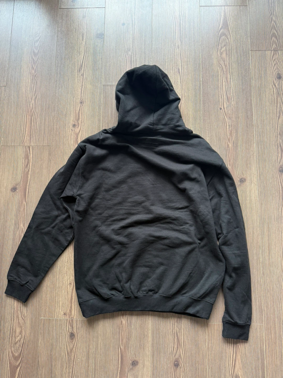 Emma Blackery ‘Villains’ Merch Hoodie - photo 5