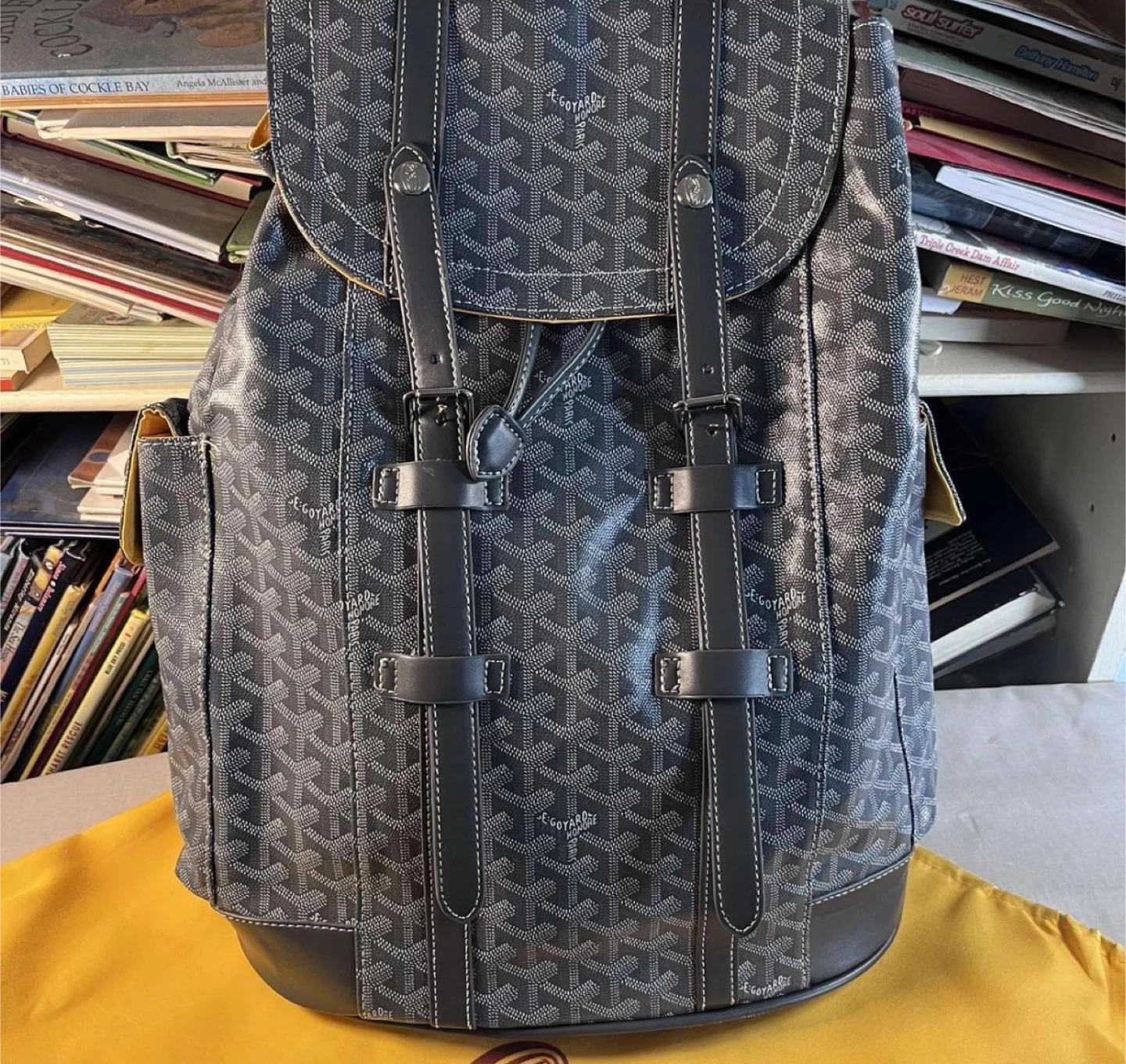 Goyard Grey Backpack