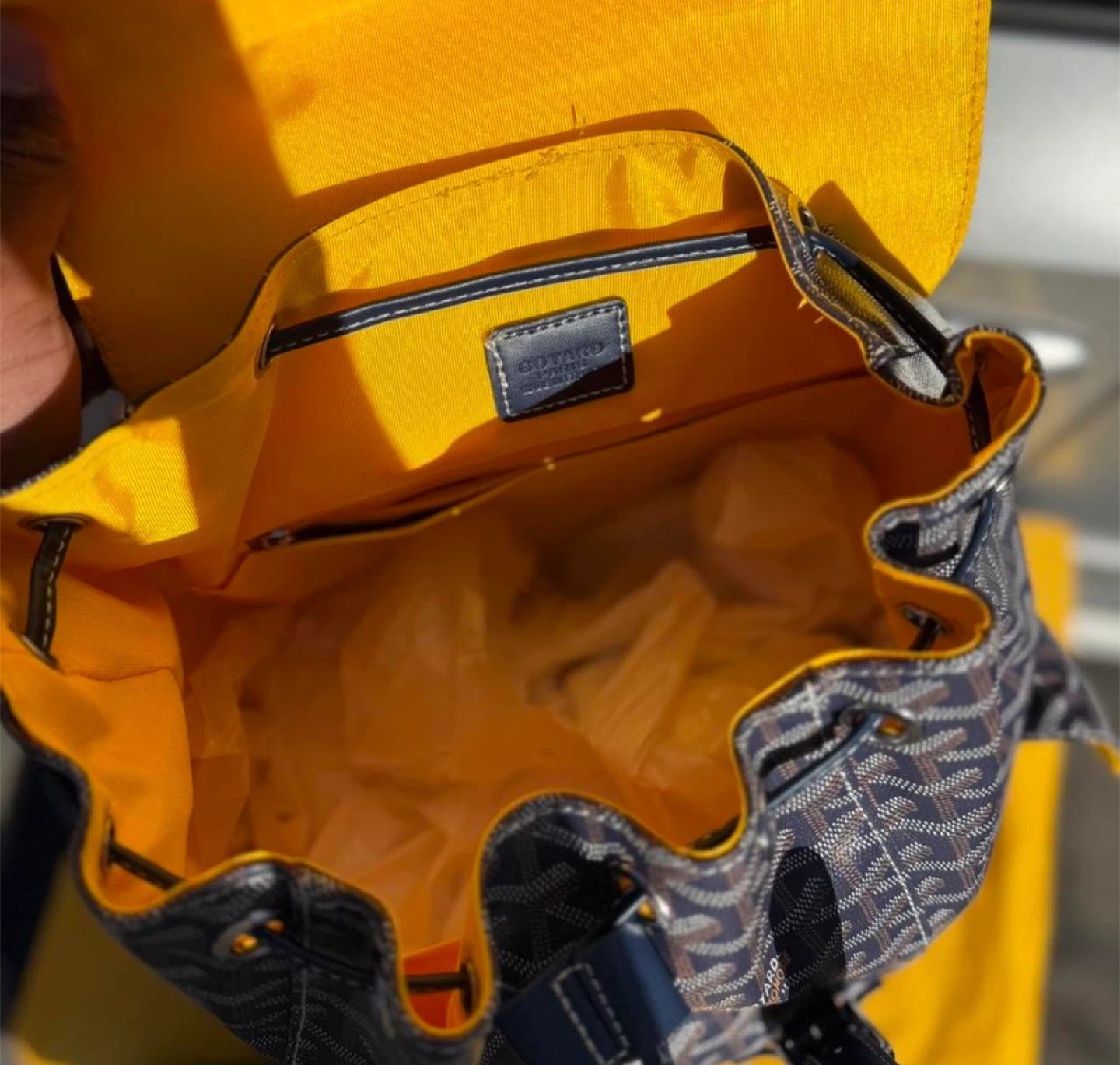 Goyard Saint Louis Backpack - photo 3