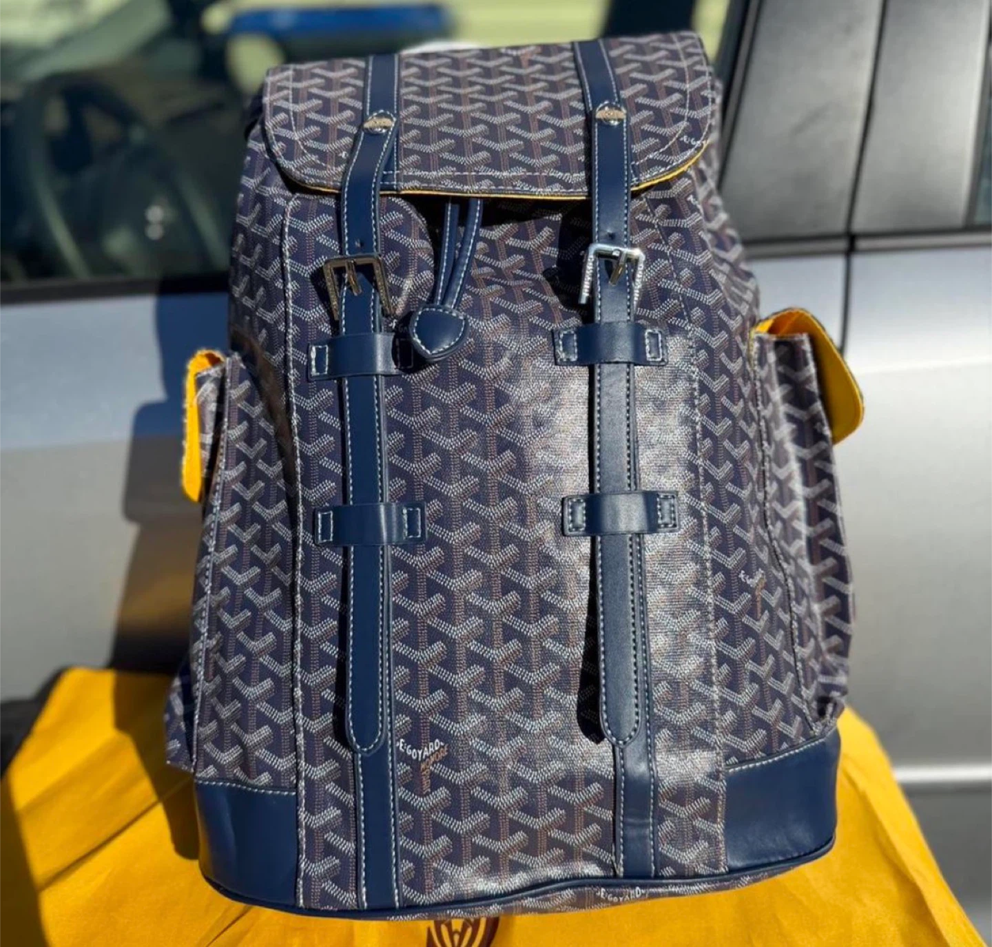 Goyard Saint Louis Backpack