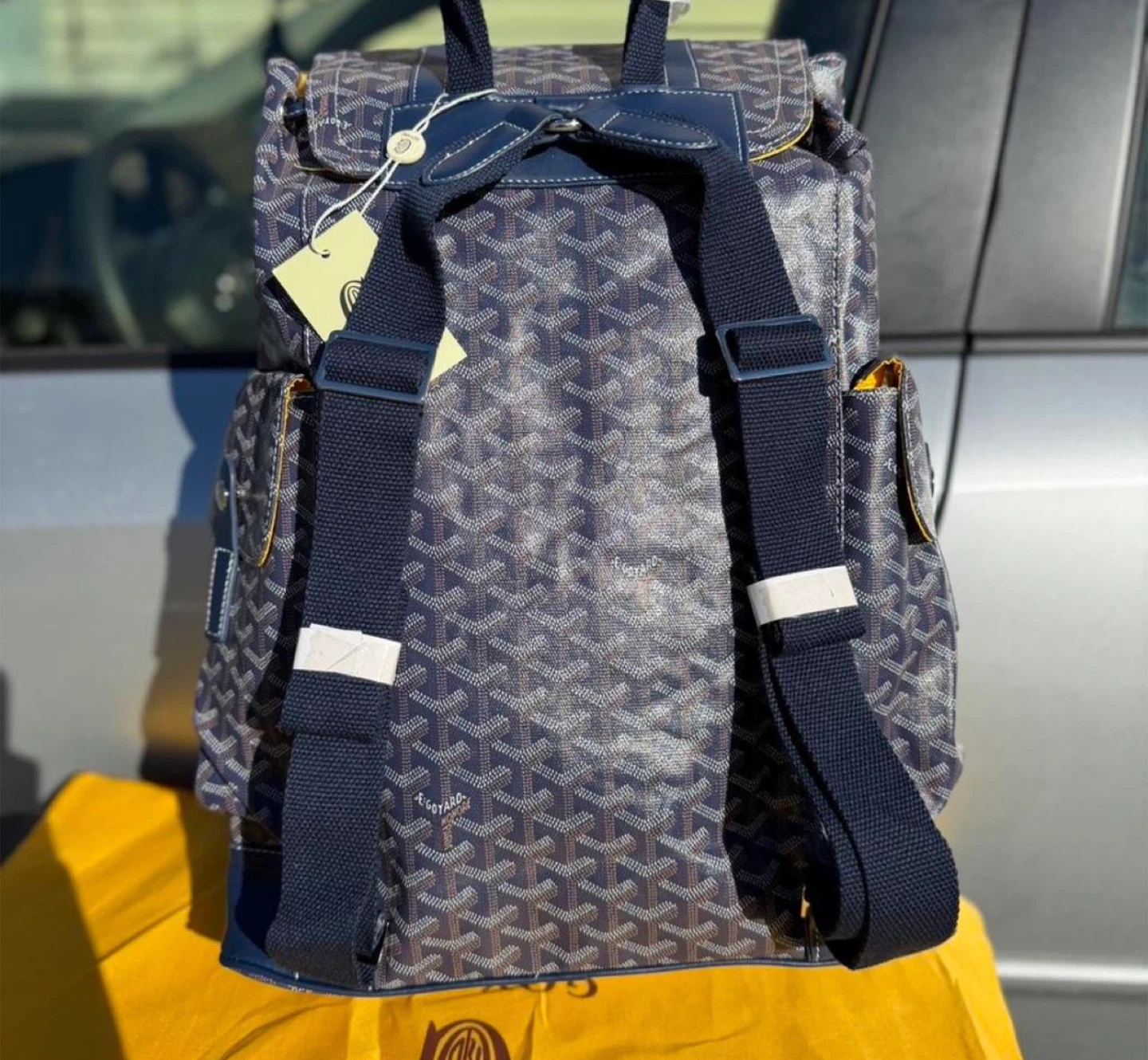 Goyard Saint Louis Backpack - photo 2