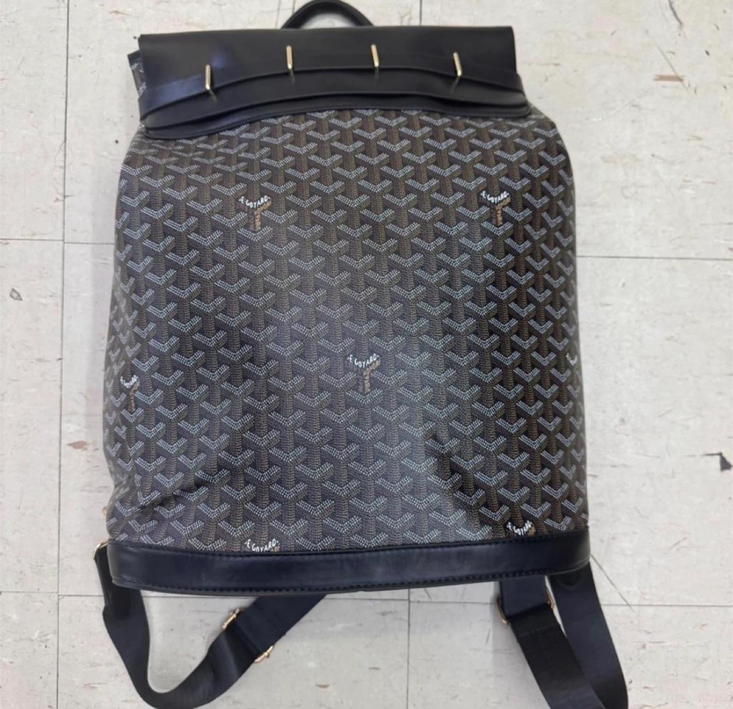 Goyard Backpack