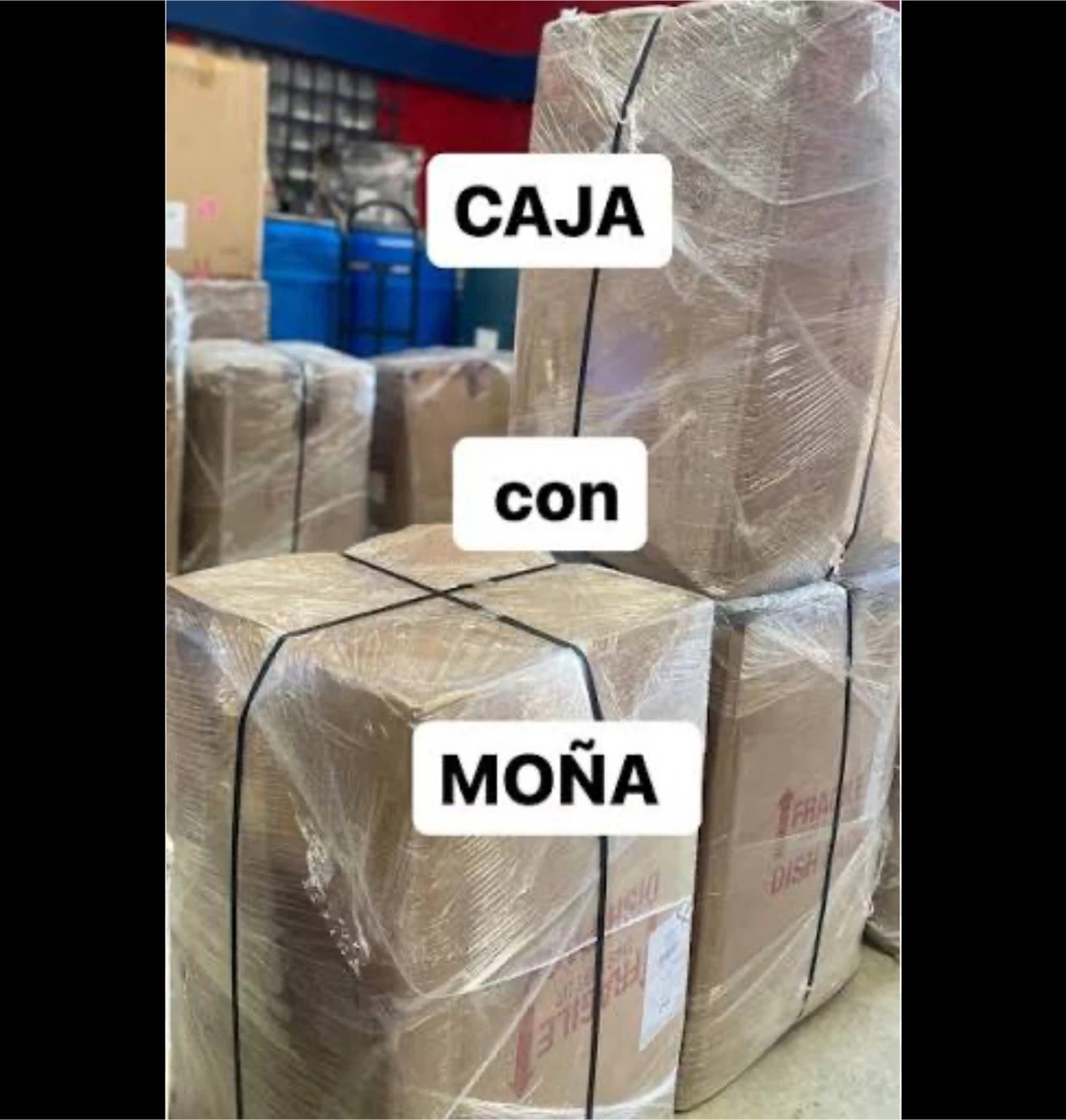 Se vende