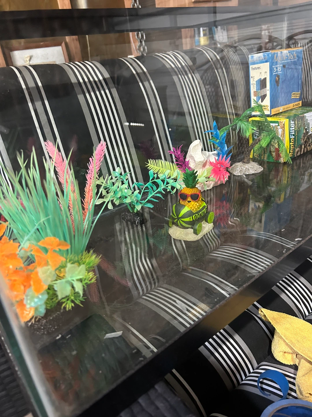 Glass Aquarium Tank with Decorations - photo 3