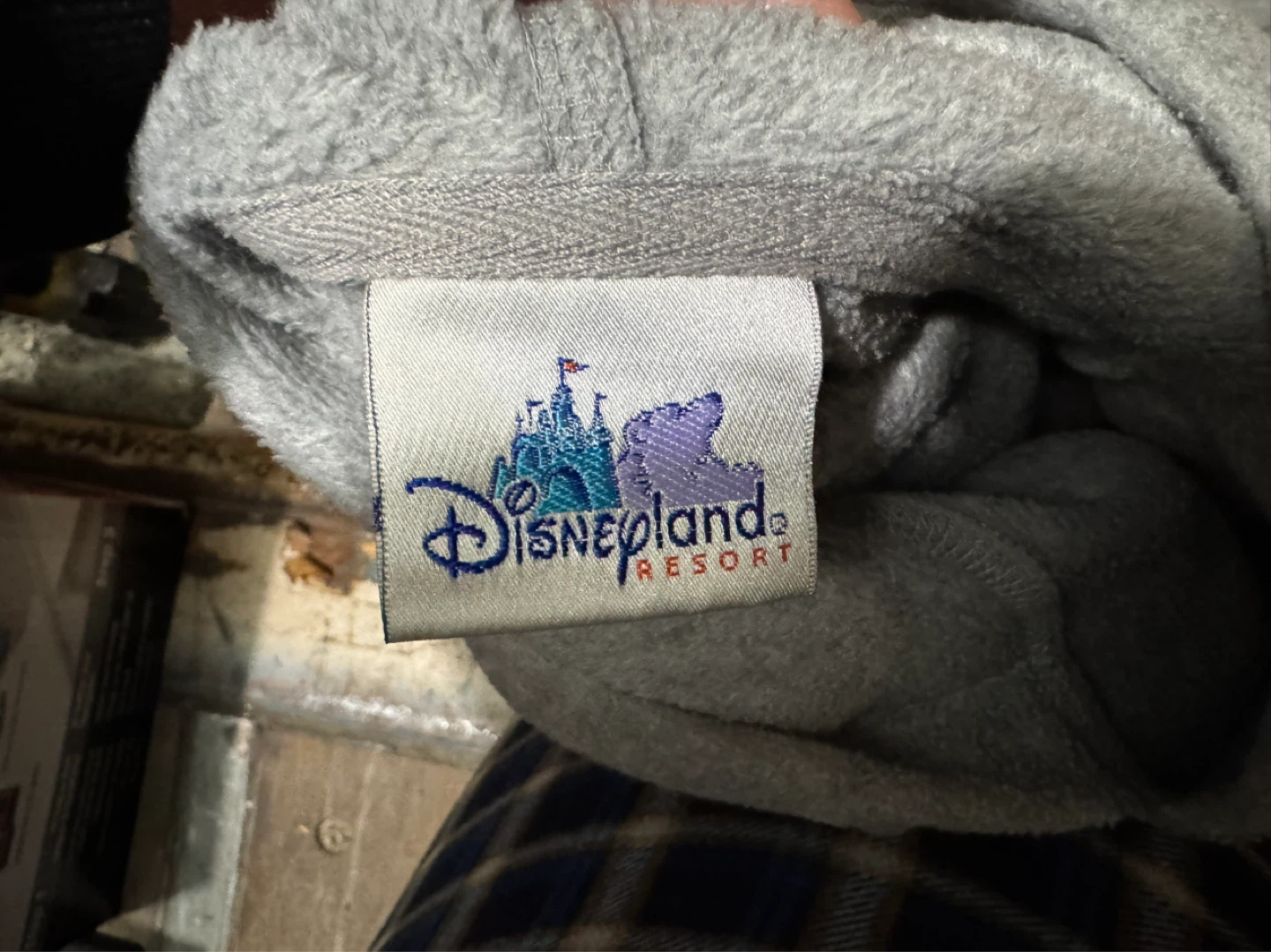 Grey Disneyland Resort Hoodie - photo 3