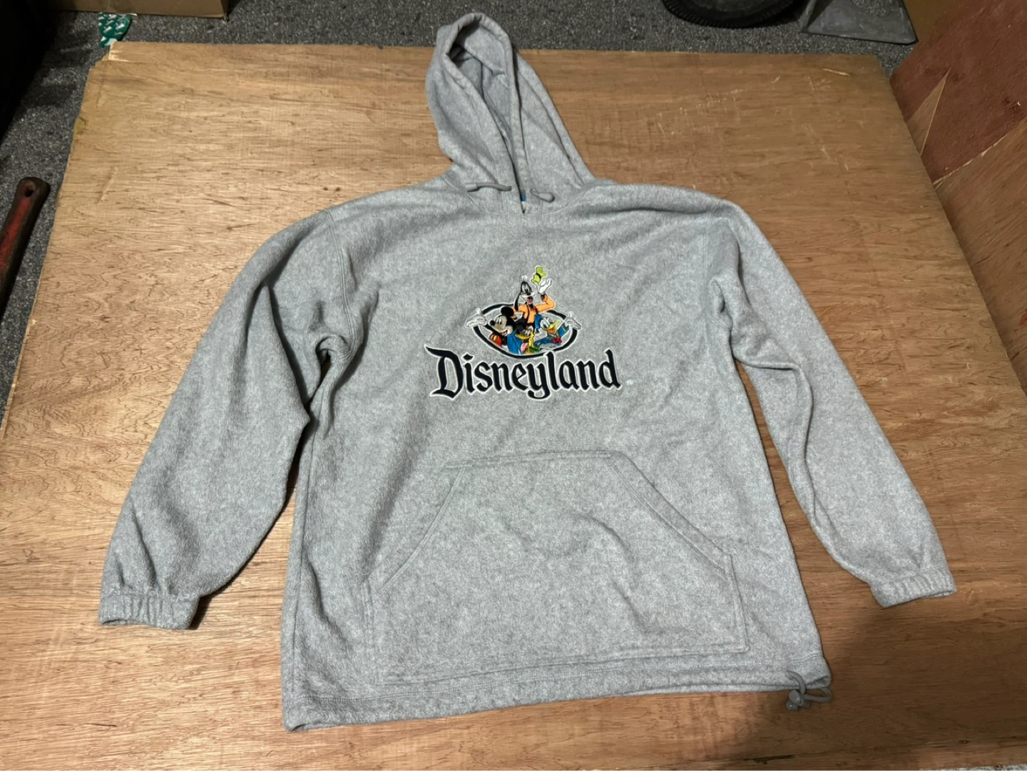 Grey Disneyland Resort Hoodie